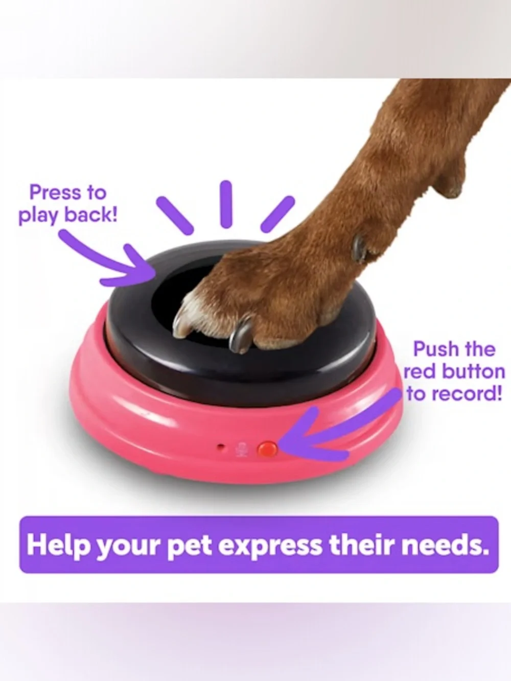 Talking Pet Next Words Locations Buttons - Pink & Black